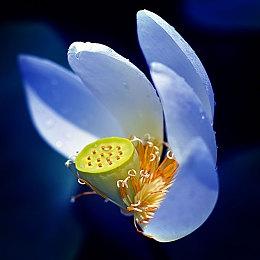 《装甲核心6》制作人：FS希望能更频繁的推出新作